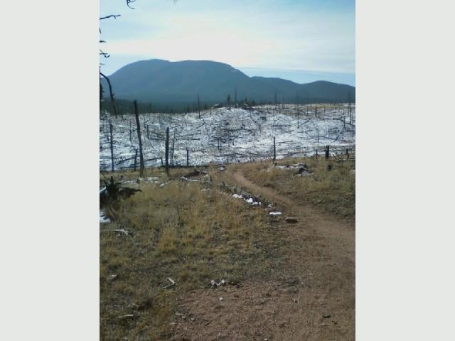 A dirt path winding through a barren landscape, with remnants of charred trees and shrubs in the foreground. A mountain range looms in the background under a clear sky. The scene captures the aftermath of a wildfire, showcasing both the devastation and the resilience of nature. Buffalo Creek mountain bike trail.