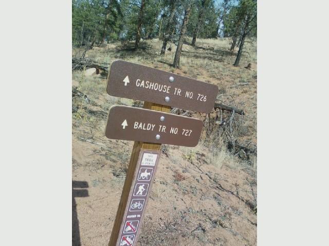 Trail sign indicating directions for Gashouse Trail No. 726 and Baldy Trail No. 727, set in a forested area with visible ground cover and trees in the background. Buffalo Creek mountain bike trail.