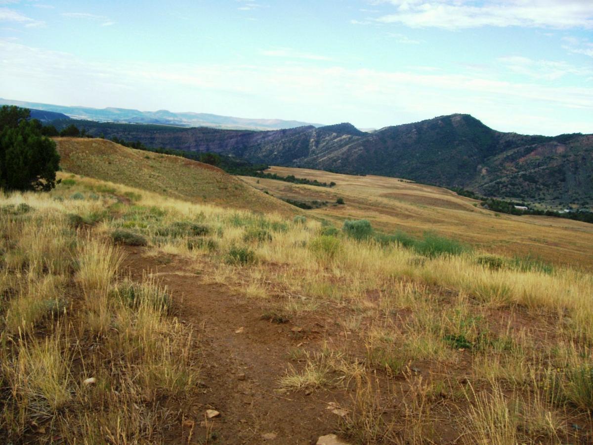 A scenic view of a rugged landscape featuring rolling hills, grassy terrain, and distant mountains under a partly cloudy sky. A dirt path meanders through the foreground, leading towards the mountains, with greenery and tall grass visible throughout the scene. Telegraph Trail System mountain bike trail.