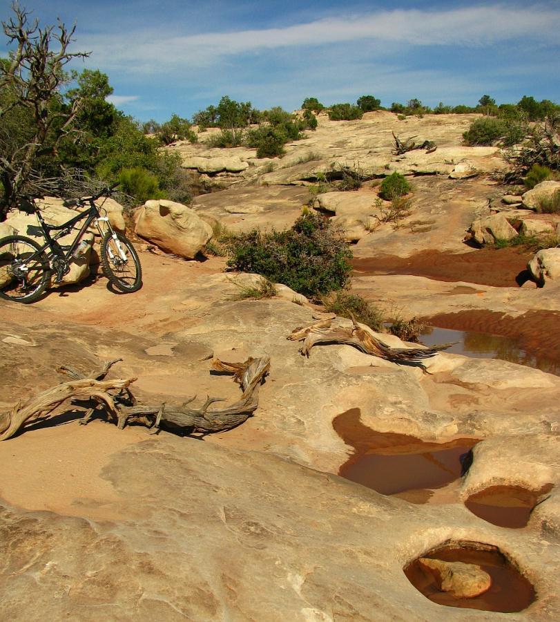 A mountain bike parked on rocky terrain with pools of water and shrubs in the background under a blue sky. Klondike Bluffs mountain bike trail.