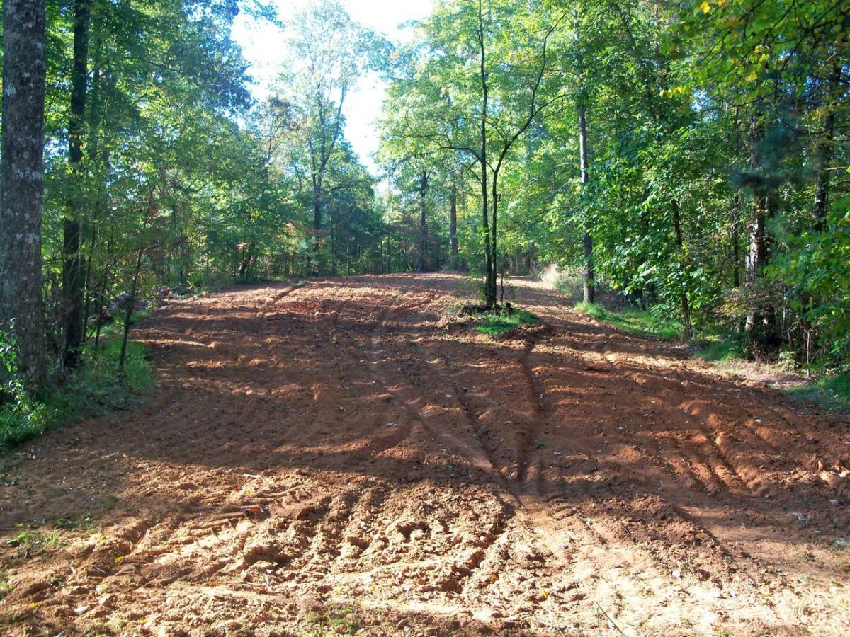 A dirt path winding through a forested area, with freshly turned soil and tire tracks. Lush green trees surround the path, creating a tranquil outdoor setting. Sunlight filters through the leaves, casting dappled shadows on the ground. Ridgeway Loop mountain bike trail.