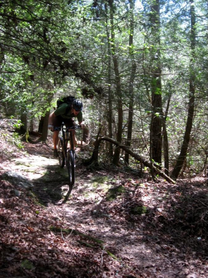 A person riding a mountain bike on a narrow dirt trail surrounded by trees and foliage, leaning forward for balance while navigating the uneven terrain. Sunlight filters through the trees, illuminating the path covered in leaves and rocks. River Loop mountain bike trail.