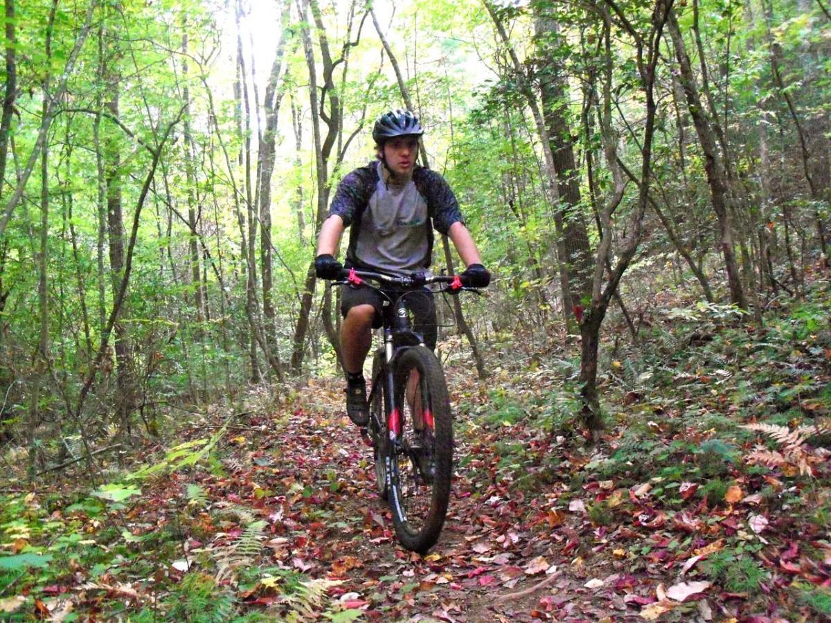 A person riding a mountain bike on a dirt trail surrounded by trees in a vibrant forest setting, with autumn leaves scattered on the ground. The cyclist is wearing a helmet and athletic clothing. Black Branch mountain bike trail.