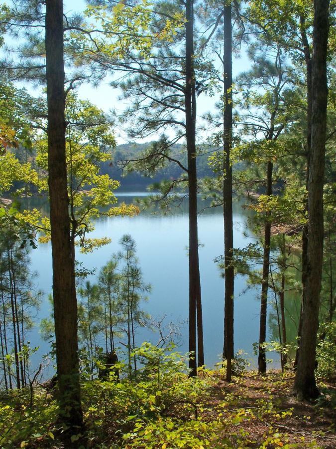 A tranquil lake view surrounded by tall trees and lush greenery, reflecting the clear blue sky in the water. Sunlight filters through the leaves, creating a serene outdoor atmosphere. Woodring Branch mountain bike trail.