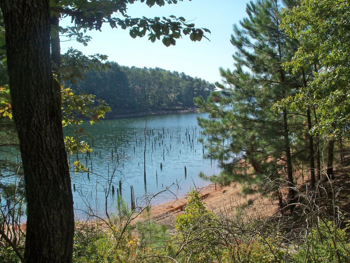 A serene lakeside scene featuring calm water surrounded by trees. In the foreground, a large tree trunk is visible on the left, with varying shades of green foliage above. In the background, the water reflects the blue sky and is dotted with submerged tree stumps sticking out of the water, while a wooded shoreline can be seen in the distance. The setting exudes a peaceful, natural atmosphere. Woodring Branch mountain bike trail.