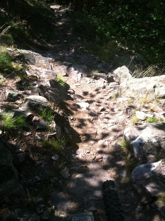 A narrow, rocky bike trail winding through a wooded area, with patches of sunlight filtering through the trees. The trail is lined with scattered stones and sparse grass, creating a rugged terrain suitable for mountain biking. A bicycle tire is partially visible in the foreground. Noquemanon Trails Network: South Marquette Trails mountain bike trail.