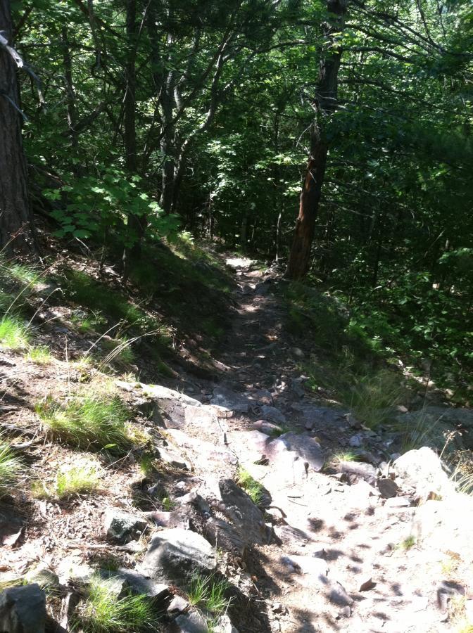 A narrow, rocky hiking trail winding through a lush, green forest. Sunlight filters through the trees, casting dappled shadows on the ground. The path is lined with grass and scattered stones, leading deeper into the woods. Noquemanon Trails Network: South Marquette Trails mountain bike trail.