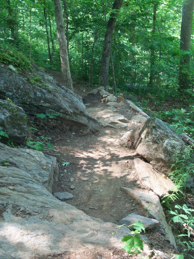 A narrow dirt path winding through a lush green forest, flanked by large rocks and trees. The sunlight filters through the leaves, creating dappled shadows on the ground. The trail appears natural and rustic, suggesting a scenic hiking route. Taylor Randahl Memorial Mountain Bike Trails At Olde Rope Mill Park mountain bike trail.