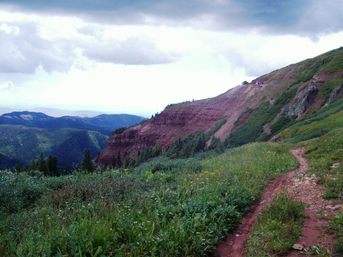 A winding dirt path leads through lush greenery and wildflowers, with a backdrop of rolling hills and a rocky red cliff under a cloudy sky. The landscape features a mix of evergreen trees and open spaces, creating a serene natural vista. Colorado Trail: Kennebec Pass To Junction Creek mountain bike trail.
