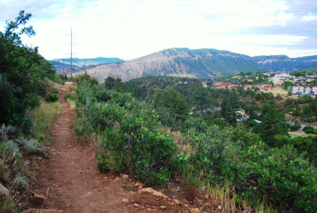 A winding dirt path leads through lush greenery on a hillside, with power lines stretching above. In the background, rolling mountains rise under a cloudy sky, and a small town with buildings and trees is visible in the valley below. Horse Gulch mountain bike trail.