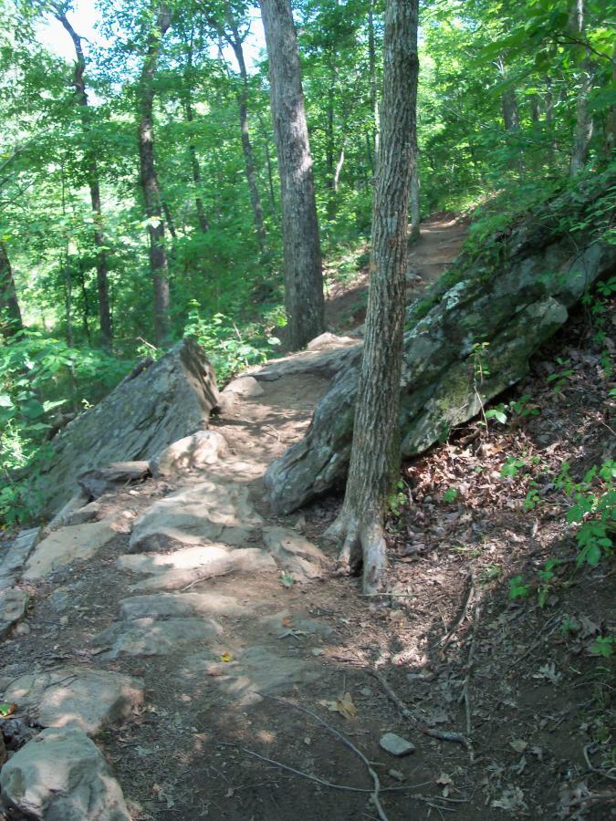 Alt text: A dirt hiking path winding through a lush green forest, flanked by trees and rocky terrain. Sunlight filters through the leaves, casting dappled shadows along the trail. Taylor Randahl Memorial Mountain Bike Trails At Olde Rope Mill Park mountain bike trail.