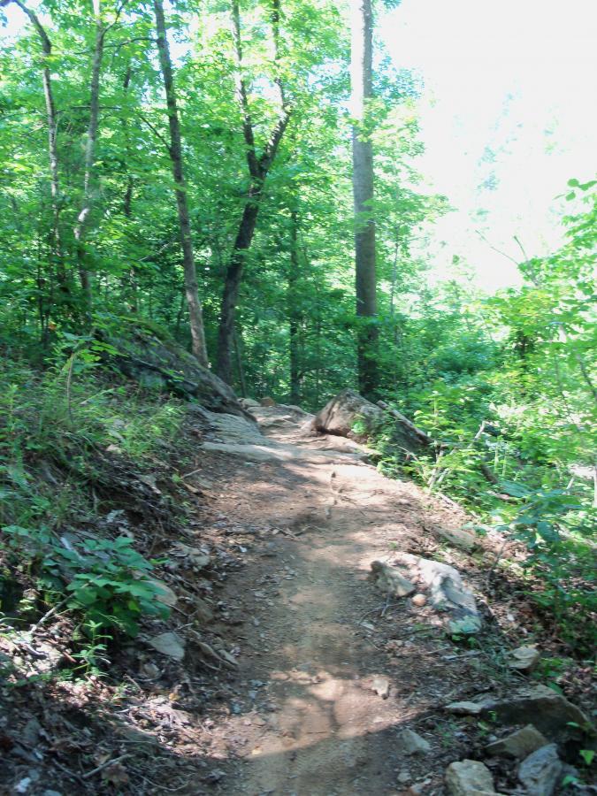 A winding dirt trail surrounded by lush green trees and underbrush, with rocky outcroppings along the path, inviting exploration in a peaceful forest setting. Taylor Randahl Memorial Mountain Bike Trails At Olde Rope Mill Park mountain bike trail.