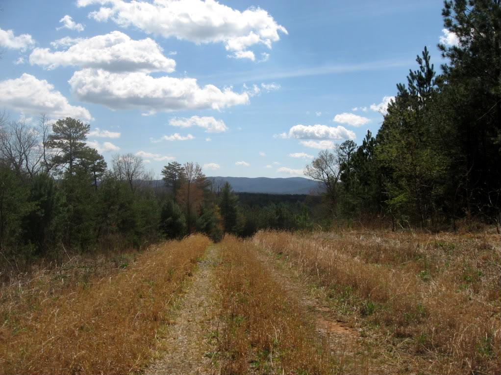 Alt text: A dirt path lined with dry grass leads through a wooded area, with trees on both sides and distant mountains visible under a partly cloudy sky. River Loop mountain bike trail.
