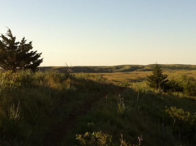 A panoramic view of rolling grassy hills under a clear sky, with patches of trees in the foreground. The landscape features gentle slopes and a serene atmosphere, indicating a peaceful natural setting. Switchgrass mountain bike trail.