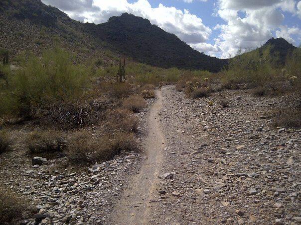 A winding dirt path leads through a rocky, arid landscape with sparse vegetation and scattered shrubs, set against a backdrop of rugged mountains under a partly cloudy sky. Trail #100 mountain bike trail.