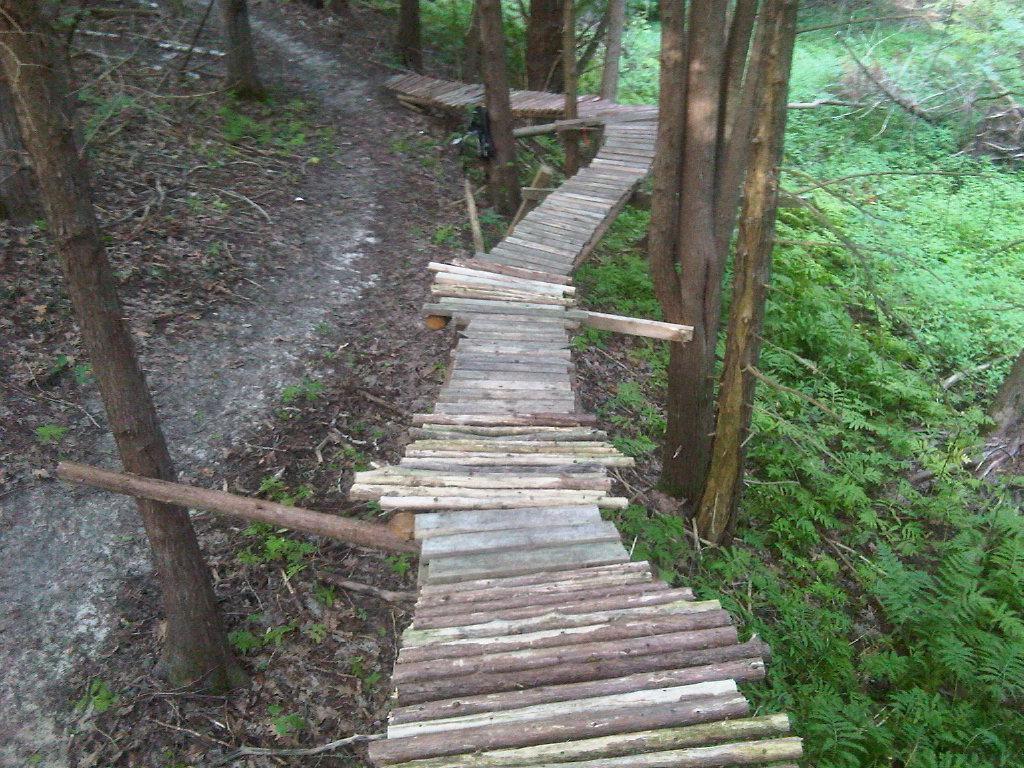 A narrow wooden pathway made of logs, situated through a dense forest area. The path winds between trees and lush greenery, leading to an unclear destination. A dirt path runs alongside the wooden structure, blending into the natural surroundings. Greenwood mountain bike trail.