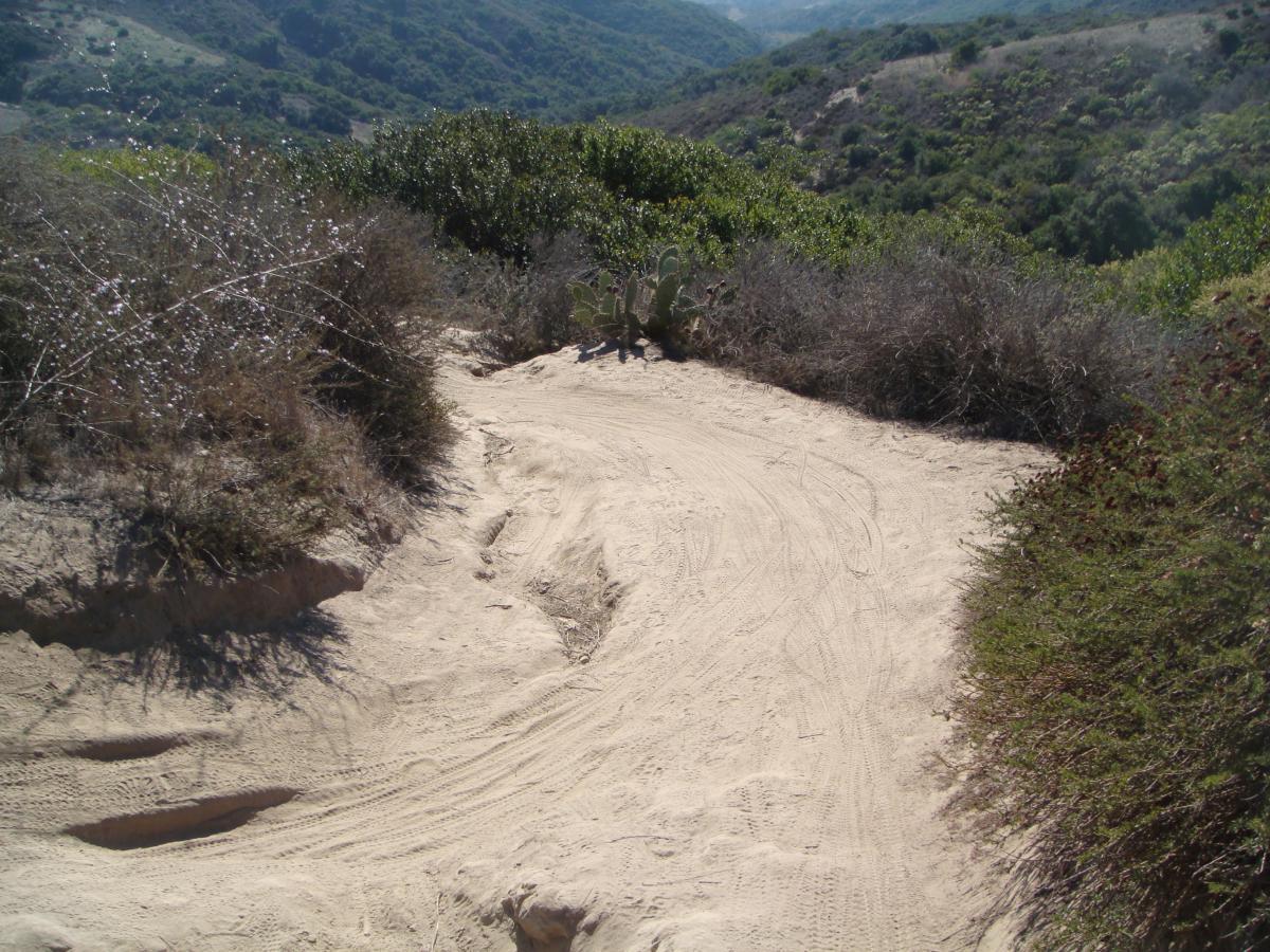 A sandy trail winding through a hilly landscape, surrounded by sparse bushes and cacti. The background features rolling hills covered in greenery under a clear blue sky. Aliso and Wood Canyons Wilderness Park mountain bike trail.