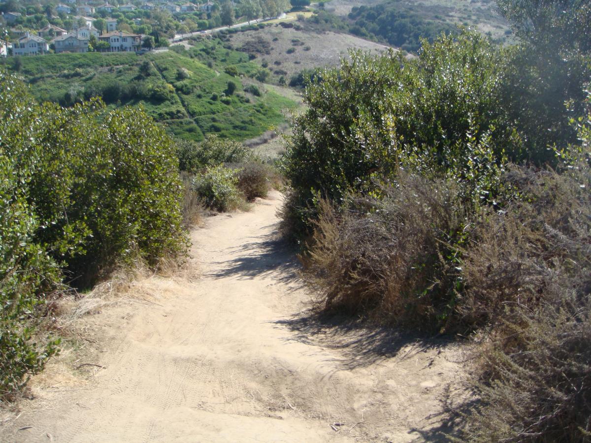 A dirt path winding through lush greenery, with houses visible on a hillside in the background. The scene captures the tranquility of nature, surrounded by bushes and trees under a clear sky. Aliso and Wood Canyons Wilderness Park mountain bike trail.