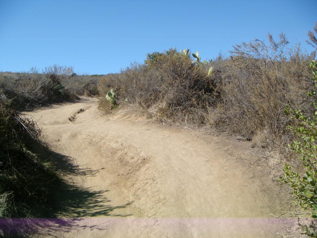 A rugged dirt path winding through a scrubland landscape under a clear blue sky, with patches of dry grass and scattered cacti along the sides. Aliso and Wood Canyons Wilderness Park mountain bike trail.