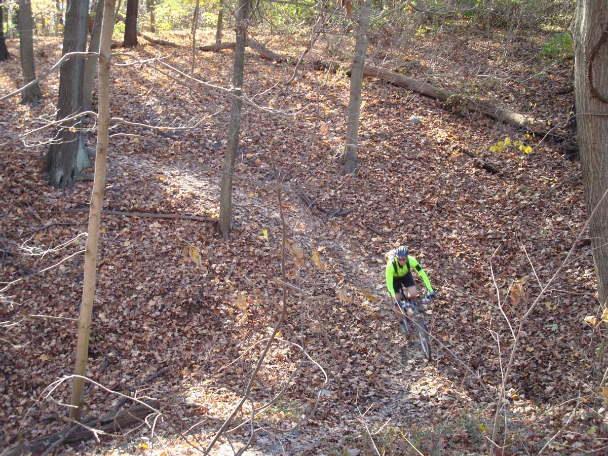 A cyclist in a bright yellow and black outfit rides through a forested area covered with fallen leaves. The scene is set in autumn, with trees in the background and a path winding through the foliage. Frick Park mountain bike trail.