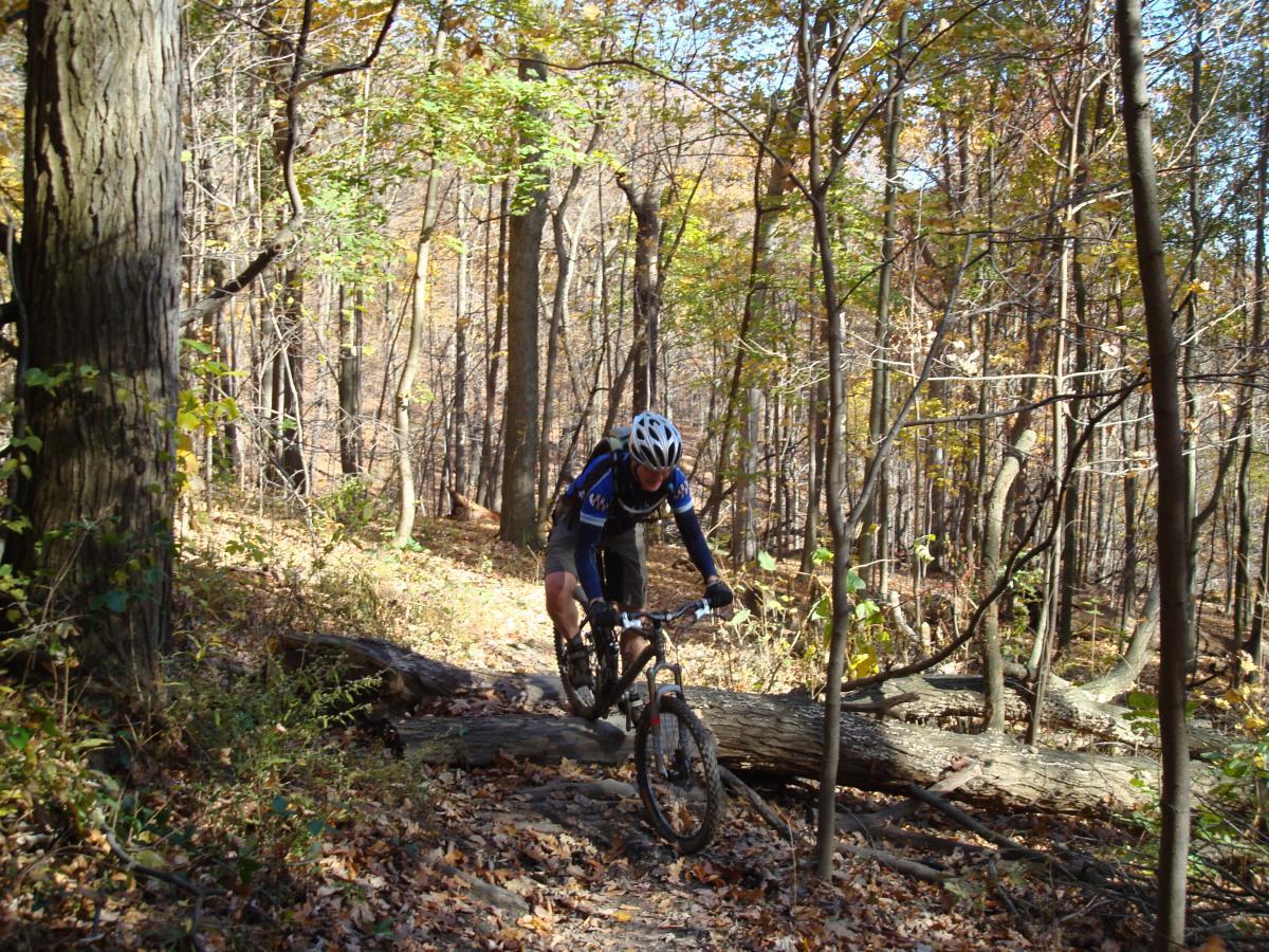 A mountain biker navigating a trail in a wooded area during autumn, surrounded by colorful foliage and fallen leaves, as they ride over a fallen log. Frick Park mountain bike trail.