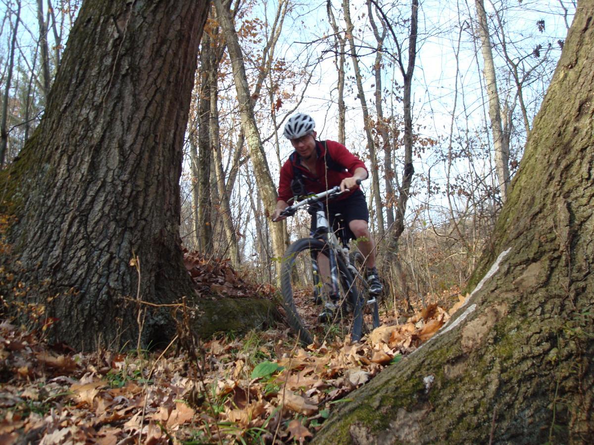A mountain biker navigating through a wooded trail, flanked by large trees and surrounded by fallen leaves. The cyclist is wearing a helmet and a red shirt, focused on the path ahead in a serene outdoor setting. Deer Lakes Park mountain bike trail.