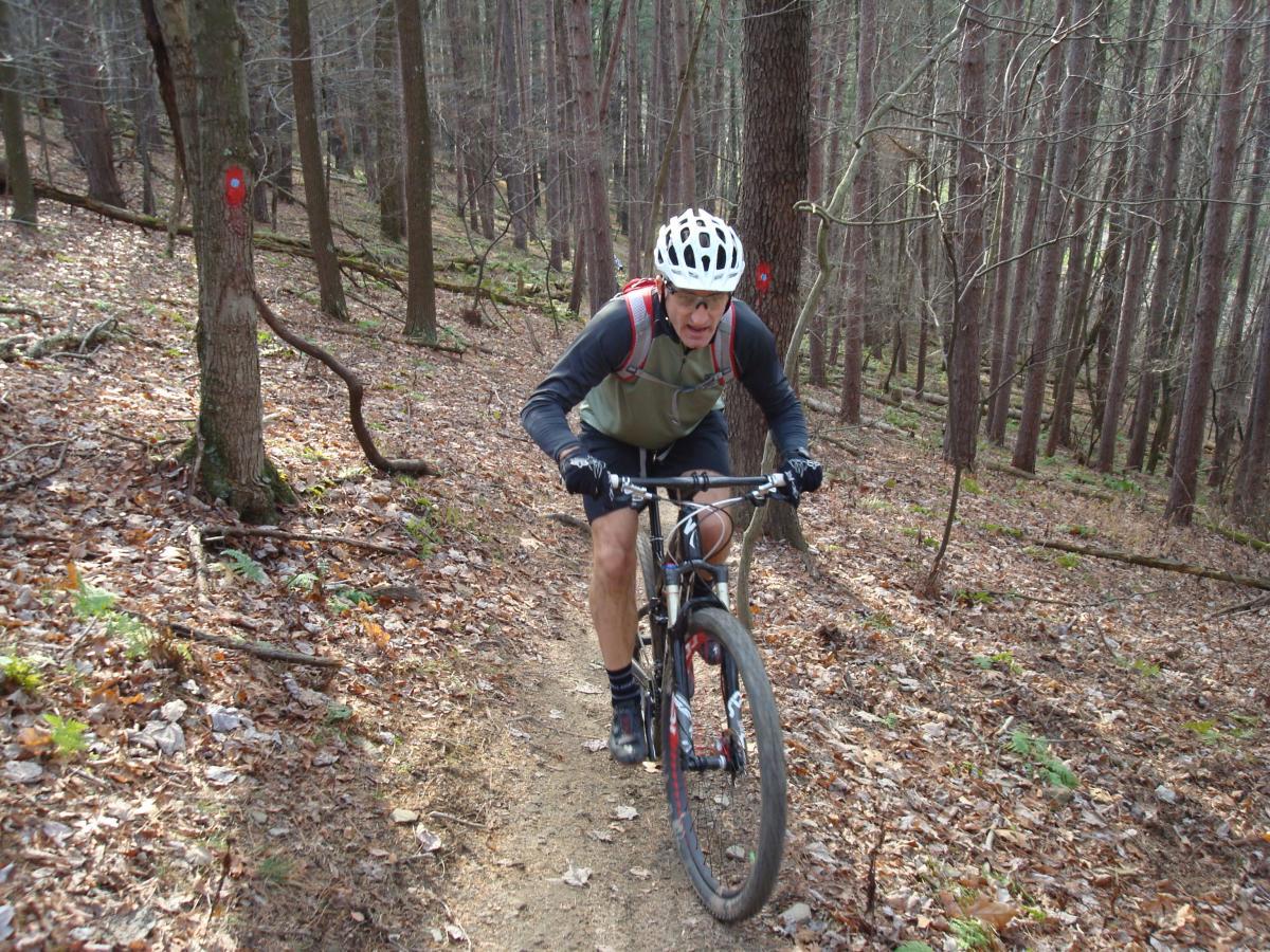 A mountain biker navigating a narrow, leaf-strewn trail in a wooded area, surrounded by tall trees. The cyclist is wearing a helmet and cycling gear, with a focused expression as they ride uphill. A red trail marker is visible on a nearby tree. North Park mountain bike trail.