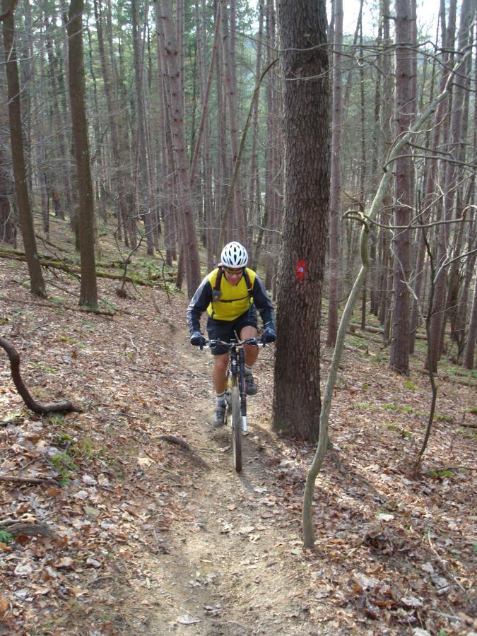 A mountain biker in a yellow backpack navigates a narrow dirt trail through a forest, surrounded by tall trees and autumn leaves. A red trail marker is visible on a tree in the background. North Park mountain bike trail.