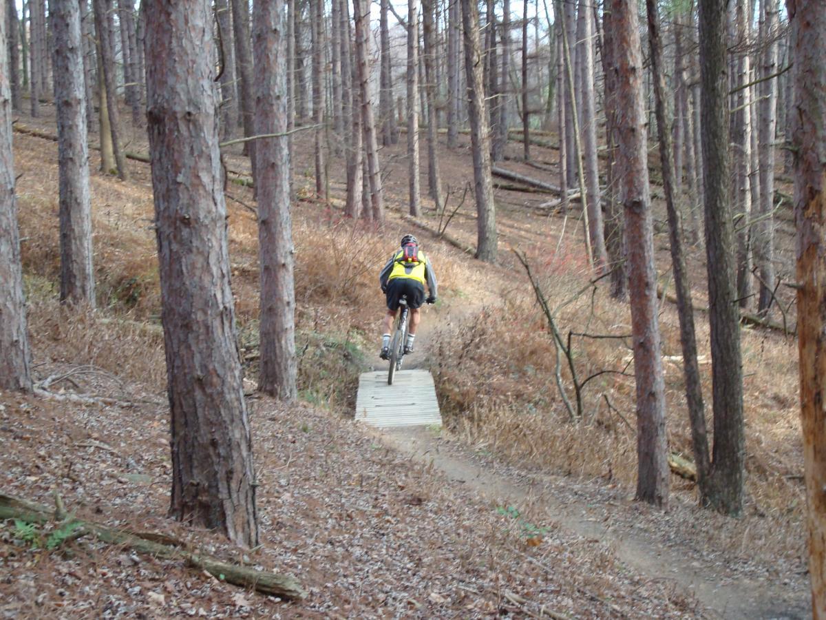 A person riding a mountain bike on a wooden bridge in a forested area, surrounded by tall trees and fallen leaves. The rider is dressed in a bright yellow and black outfit, and the bike is positioned mid-ride over the bridge. North Park mountain bike trail.