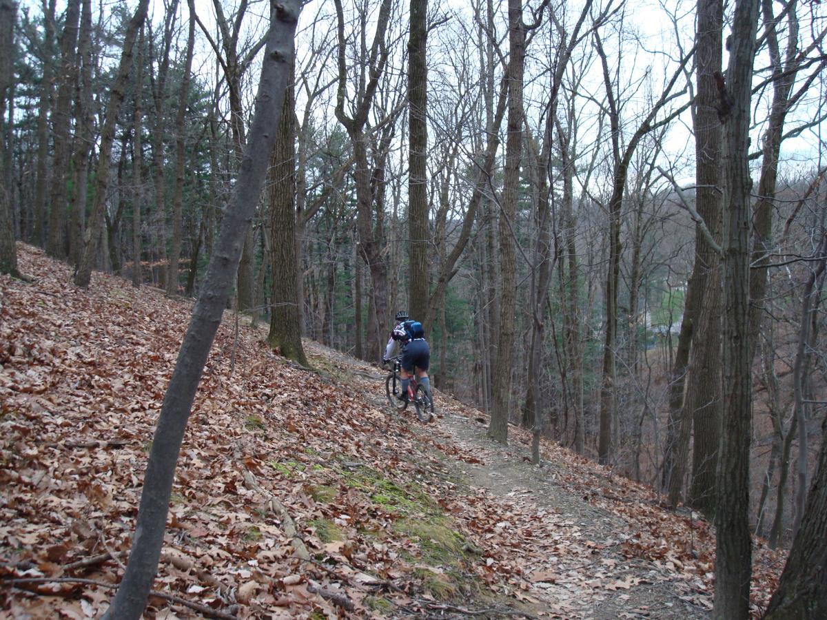 A mountain biker rides along a narrow trail through a wooded area with bare trees and fallen leaves on the ground. The scene captures a serene, natural environment in a cool, overcast setting. Hartwood Acres mountain bike trail.