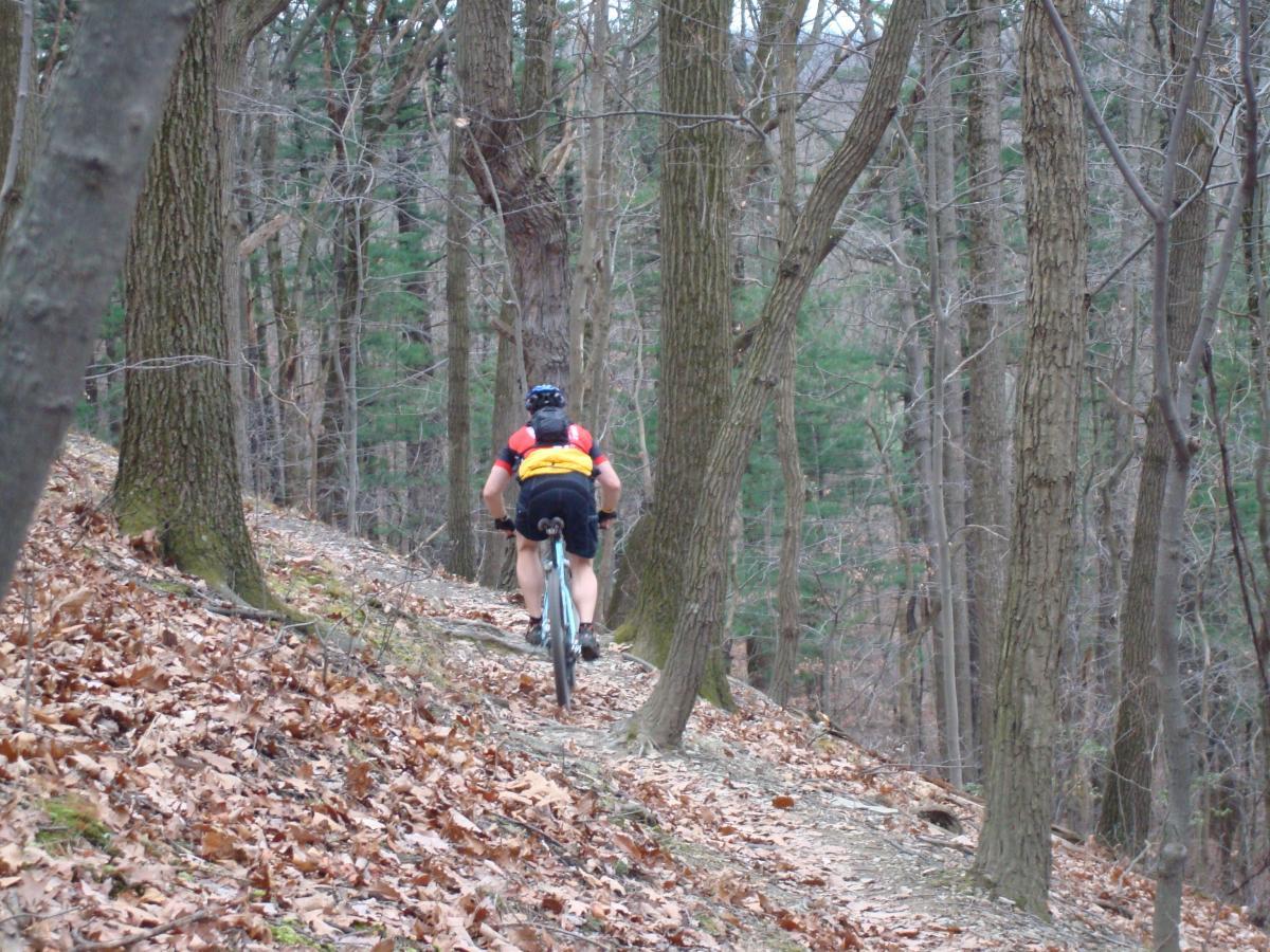 A person riding a mountain bike along a forested trail, surrounded by trees and fallen leaves. The cyclist is seen from behind, wearing a helmet and vibrant cycling gear, as they navigate a winding path through the woods. Hartwood Acres mountain bike trail.