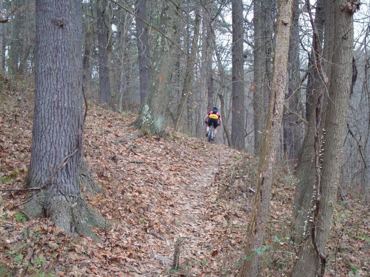 A person riding a bicycle along a dirt trail in a wooded area, surrounded by tall trees and fallen leaves on the ground. Hartwood Acres mountain bike trail.