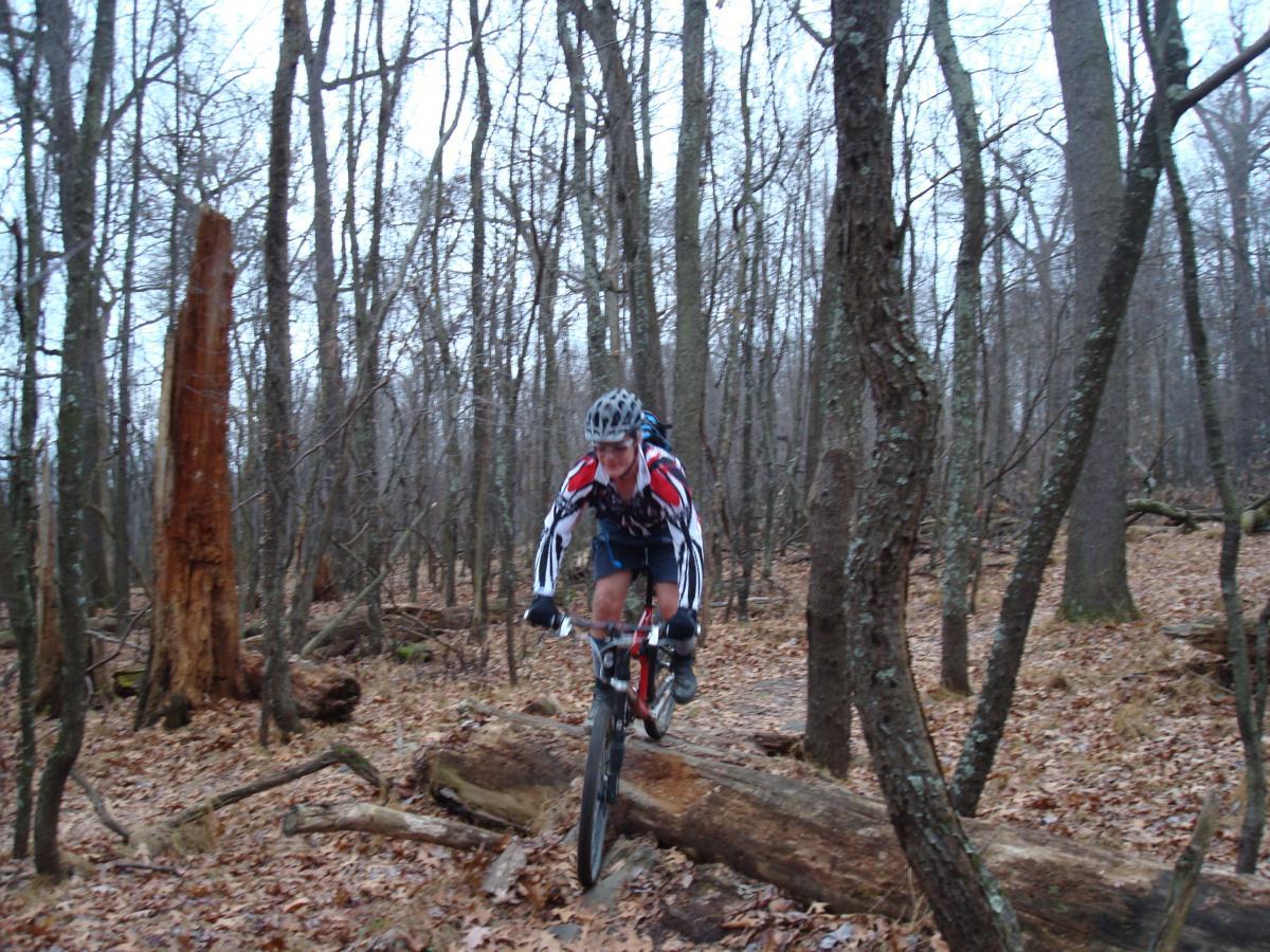 A mountain biker, wearing a helmet and a striped jersey, rides over a fallen log in a dense forest during the fall. The ground is covered with dried leaves, and the trees are bare, indicating the season. The cyclist is focused and in motion, navigating the challenging terrain. Hartwood Acres mountain bike trail.