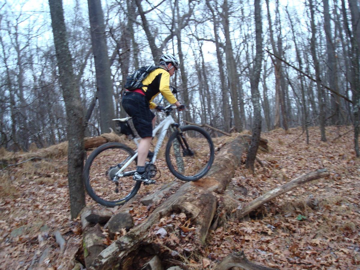 A mountain biker in a yellow and black jersey navigates over a fallen log on a forest trail covered in fallen leaves. The surrounding trees are bare, indicating a late autumn or early winter setting. Hartwood Acres mountain bike trail.
