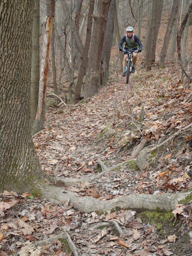 A mountain biker riding along a narrow dirt trail in a wooded area, surrounded by trees and fallen leaves. The terrain is slightly sloped with visible roots and rocks, indicating an off-road biking path. Hartwood Acres mountain bike trail.