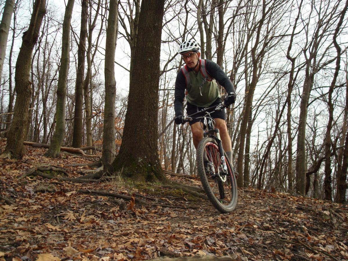 A mountain biker navigates a trail in a wooded area, surrounded by bare trees and scattered autumn leaves on the ground. The cyclist is wearing a helmet and riding gear, leaning forward on the bike as they maneuver around a tree. Hartwood Acres mountain bike trail.