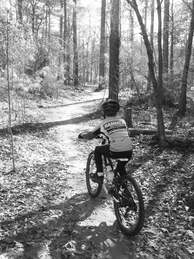 A child riding a mountain bike on a winding dirt trail through a wooded area, with tall trees and scattered leaves on the ground. The image is in black and white, highlighting the natural scenery. Harbison State Forest mountain bike trail.