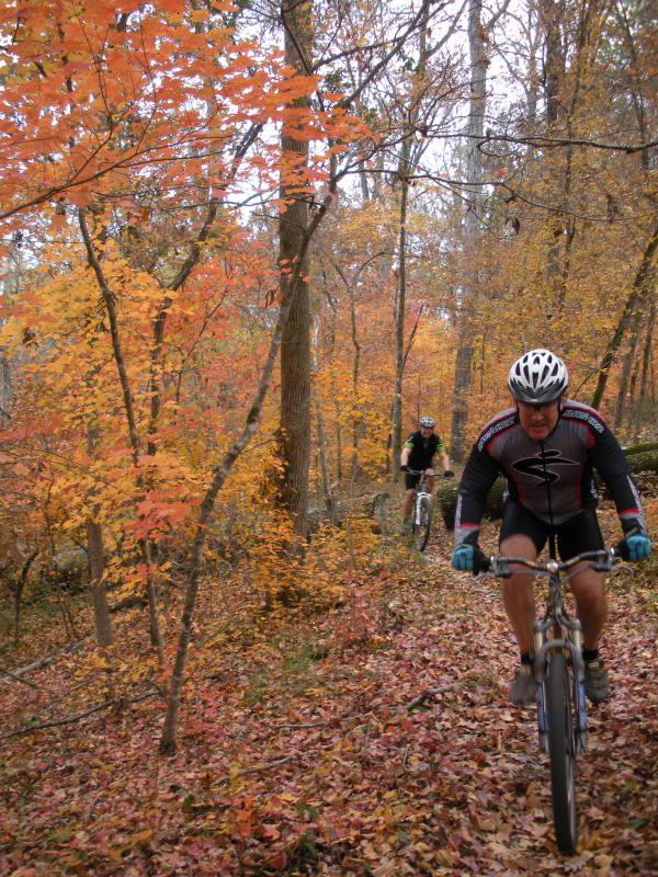 Two mountain bikers riding through a forest trail surrounded by vibrant autumn foliage, with orange and yellow leaves adorning the trees and scattered on the ground. One cyclist is in the foreground, dressed in a black cycling kit and a helmet, while the other is visible in the background. Modoc (Stevens Creek Trail) mountain bike trail.