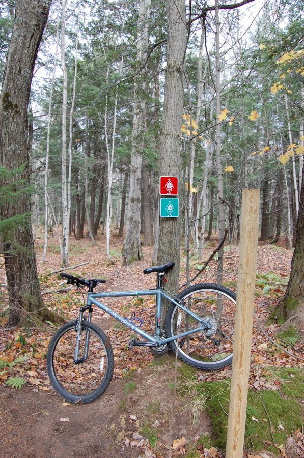 A mountain bike leaning against a tree in a wooded area with autumn leaves on the ground. Nearby, two trail markers are posted on the tree: a red sign and a green sign, indicating different trail options. The forest features a mix of tall trees and underbrush, creating a scenic outdoor setting. Noquemanon Trails Network: South Marquette Trails mountain bike trail.