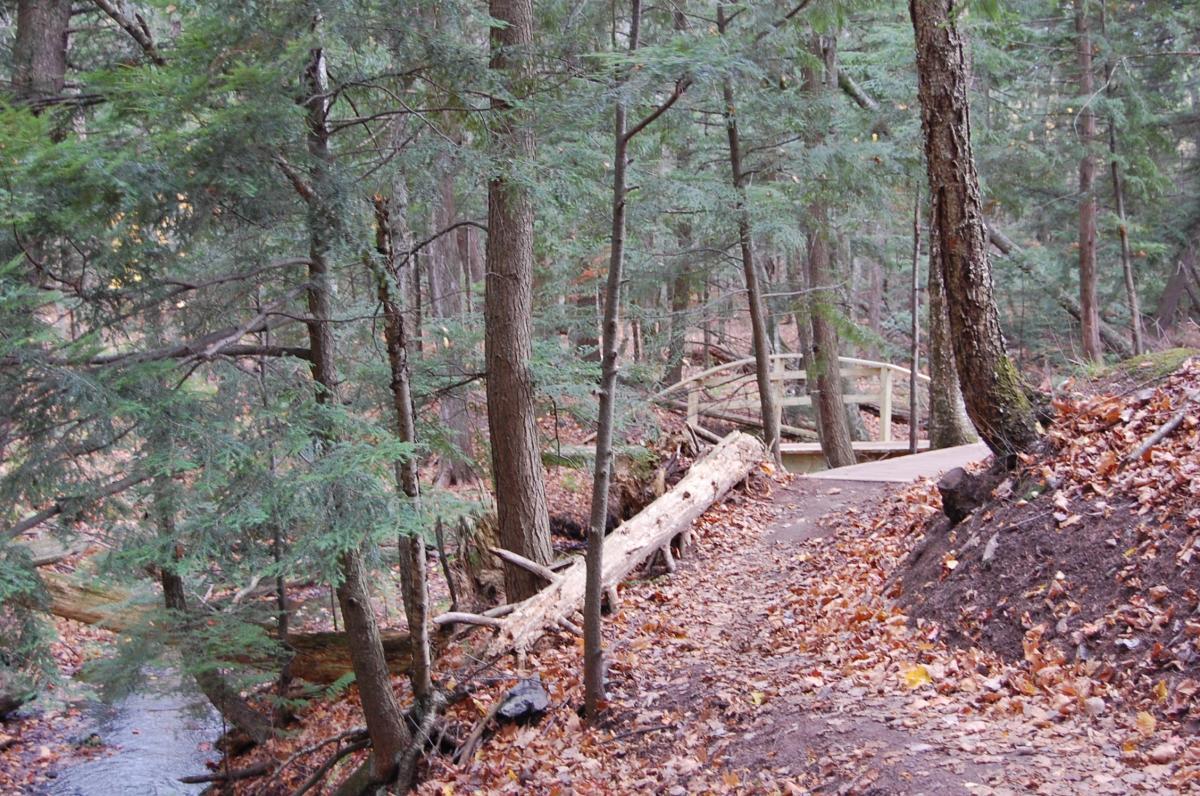 A winding trail through a dense forest, surrounded by evergreen trees and fallen leaves. A wooden bridge crosses a small stream in the background, adding to the natural scenery. Noquemanon Trails Network: South Marquette Trails mountain bike trail.