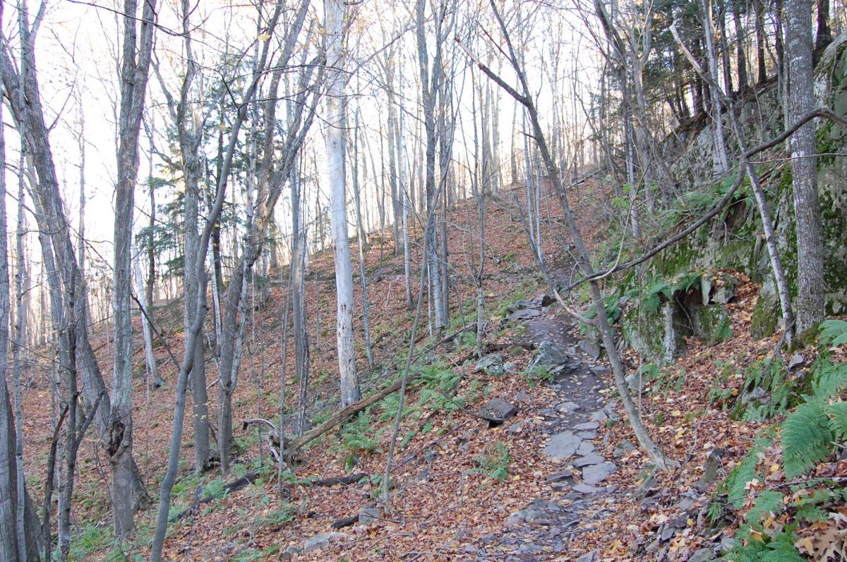 A narrow, winding trail through a wooded area with bare trees and scattered autumn leaves. The trail is lined with rocky terrain and patches of green ferns, ascending a slope in a serene natural setting. Noquemanon Trails Network: South Marquette Trails mountain bike trail.