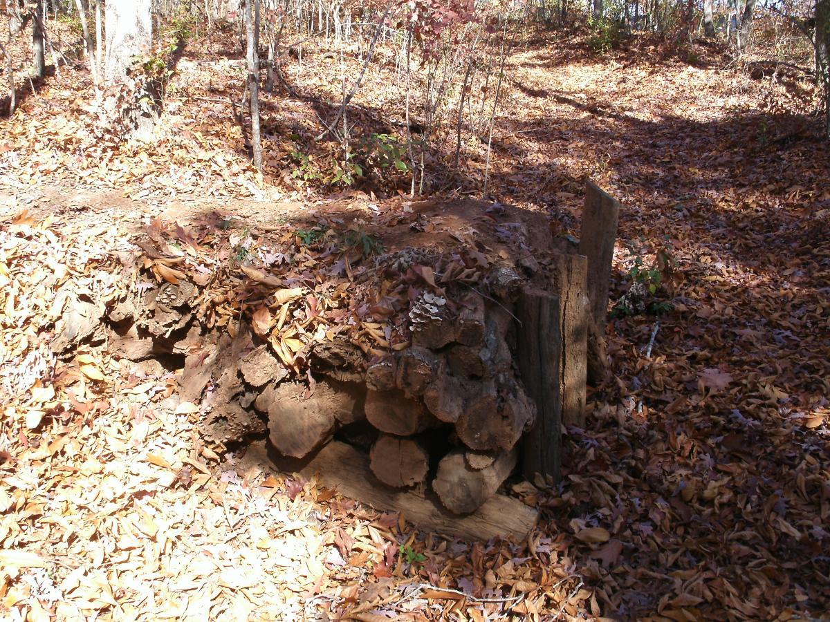 A small wooden structure made of logs and dirt, partially covered with fallen leaves, situated in a forested area with trees in the background. The ground is covered with a layer of dried leaves, indicating autumn. Mable White mountain bike trail.