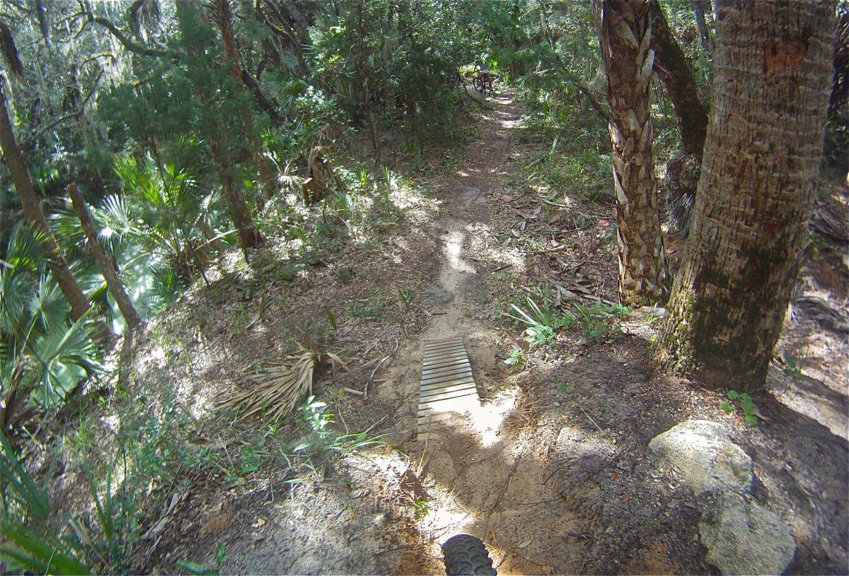 A dirt trail winding through a wooded area, surrounded by lush green vegetation. A small wooden bridge crosses a low section of the path, with bright sunlight filtering through the trees. The perspective shows a bike tire in the foreground, suggesting a biking adventure on the trail. Mala Compra mountain bike trail.