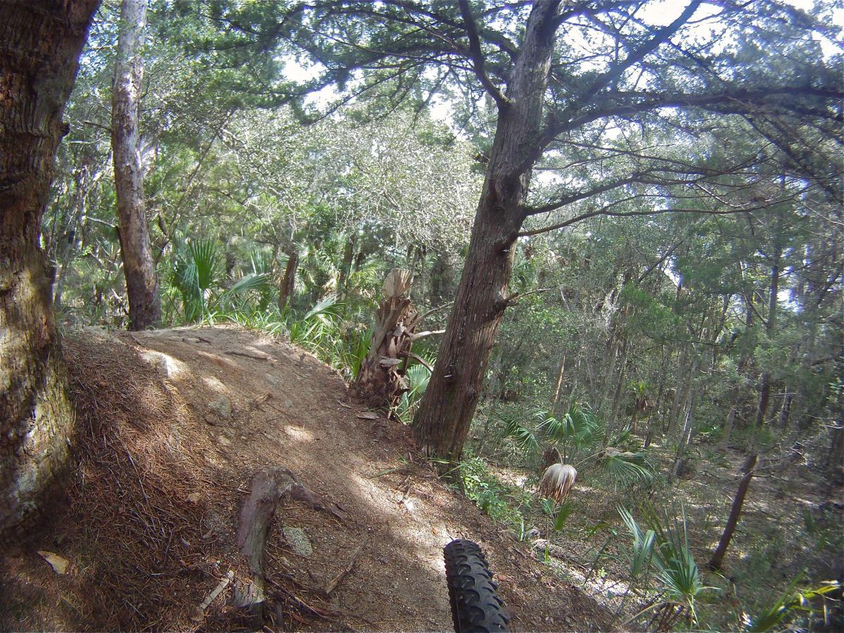 A dirt mountain bike trail winding through a dense forest, featuring tall trees and underbrush. Sunlight filters through the leaves, illuminating the path ahead. A bicycle tire is visible in the foreground, emphasizing the adventure of off-road cycling. Mala Compra mountain bike trail.