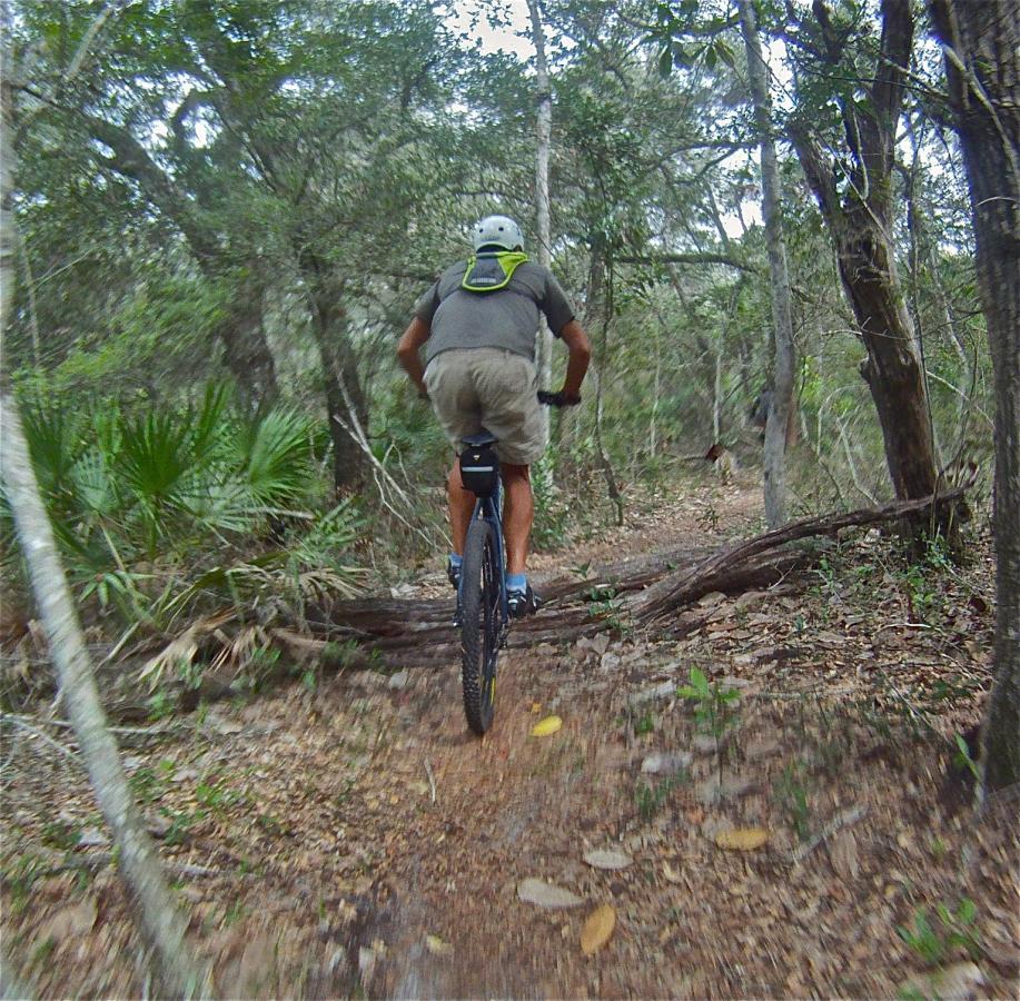 A person riding a mountain bike on a narrow dirt trail through a wooded area, navigating over a fallen log, surrounded by green foliage and trees. Mala Compra mountain bike trail.
