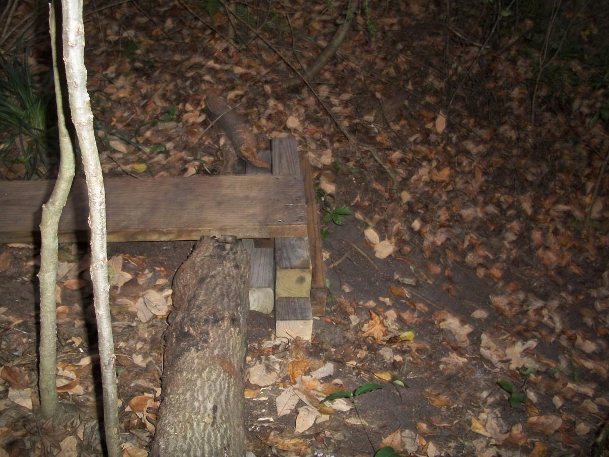 A wooden structure partially obscured by fallen leaves and surrounded by trees in a forest setting. The structure appears to be a makeshift bridge or platform, elevated slightly above the ground, with a visible log beneath it. The Rock Trail mountain bike trail.