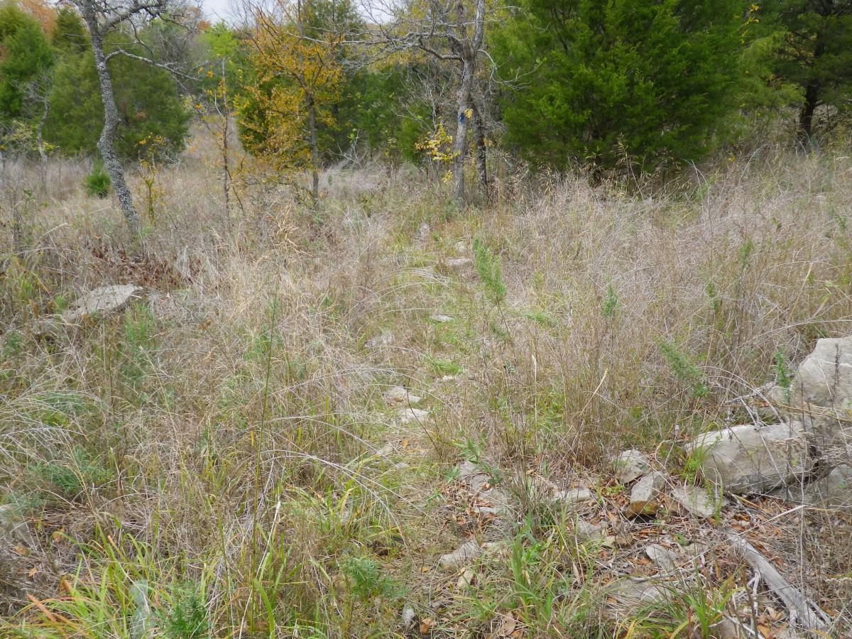 A narrow, overgrown pathway winding through a grassy field surrounded by sparse trees and rocks. The scene captures the natural, untamed beauty of the landscape, with hints of autumn color in the foliage. Oklahoma "ankle Express" Hiking Trail - Greenleaf State Park mountain bike trail.