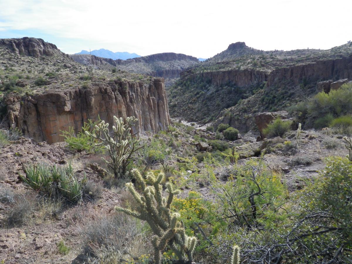 A rocky canyon landscape with rugged cliffs, dotted with various desert plants, including cacti and shrubs. The scene is set under a partly cloudy sky, highlighting the natural beauty of the arid environment. Monolith Gardens mountain bike trail.