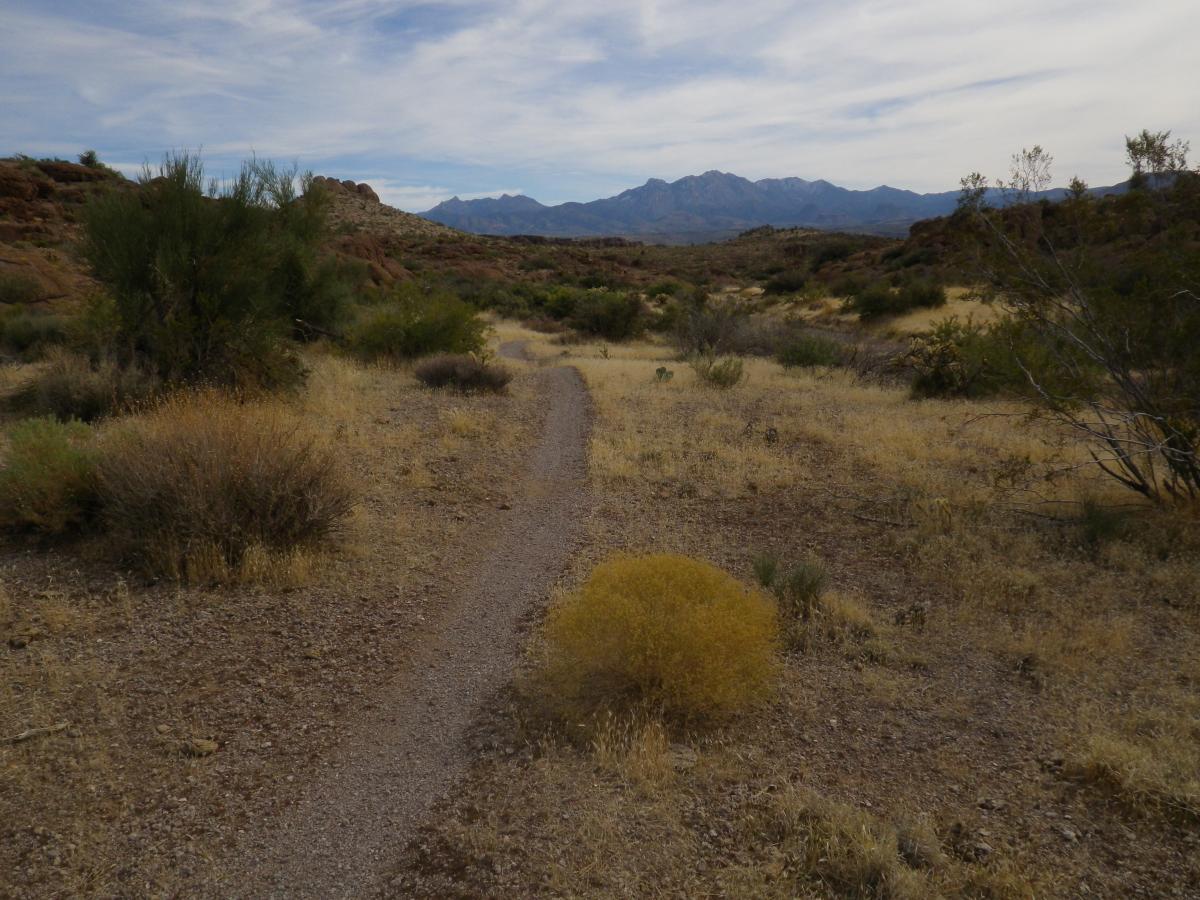 A winding dirt path through a dry, desert landscape, surrounded by sparse vegetation and scattered shrubs. In the background, mountains rise under a cloudy sky, creating a serene and expansive natural scene. Monolith Gardens mountain bike trail.
