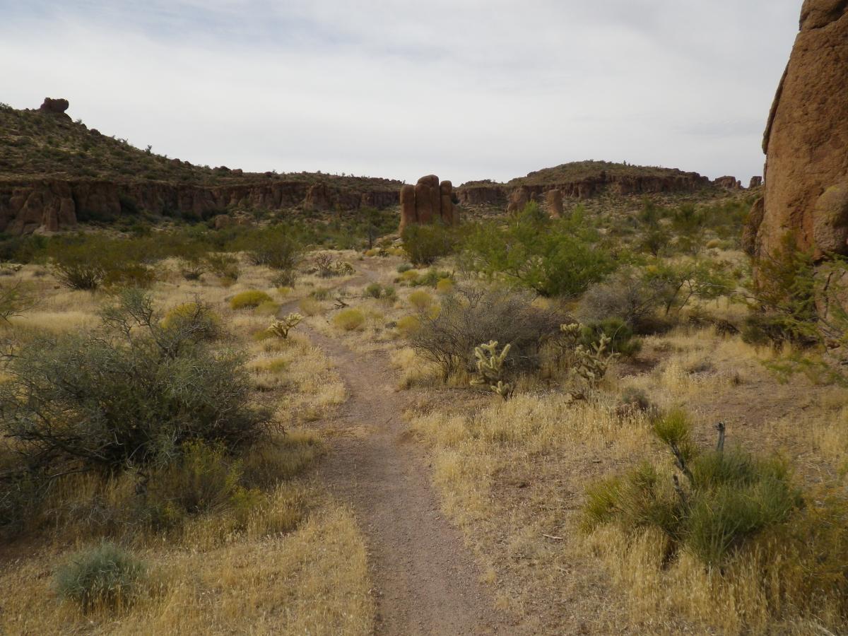 A winding dirt path surrounded by sparse vegetation and dry grass, leading through a rocky landscape with rugged hills in the background under a cloudy sky. Monolith Gardens mountain bike trail.